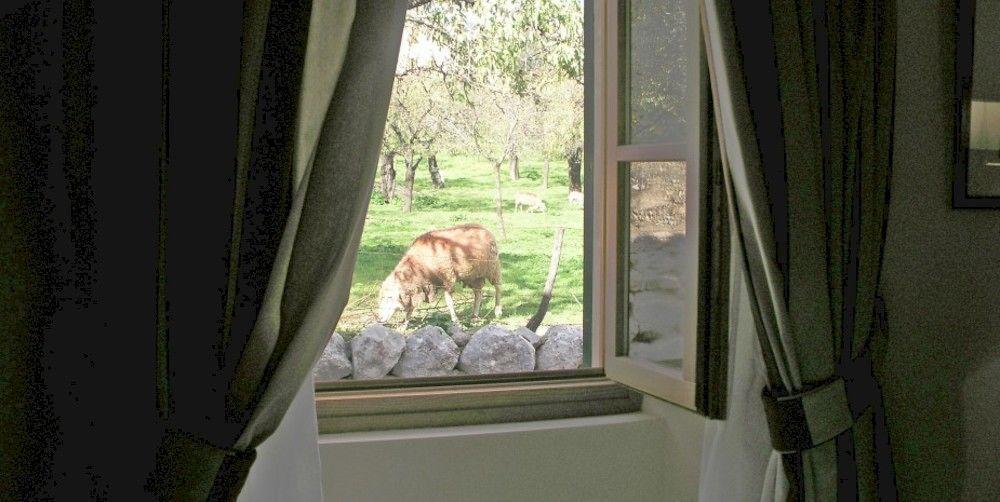 S'Hort De Cas Misser Boutique Hotel (Adults Only) Сельва Екстер'єр фото